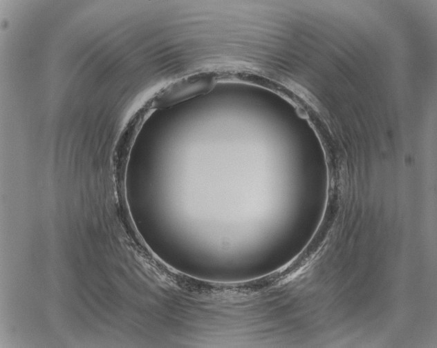 X0000064731022200602171636