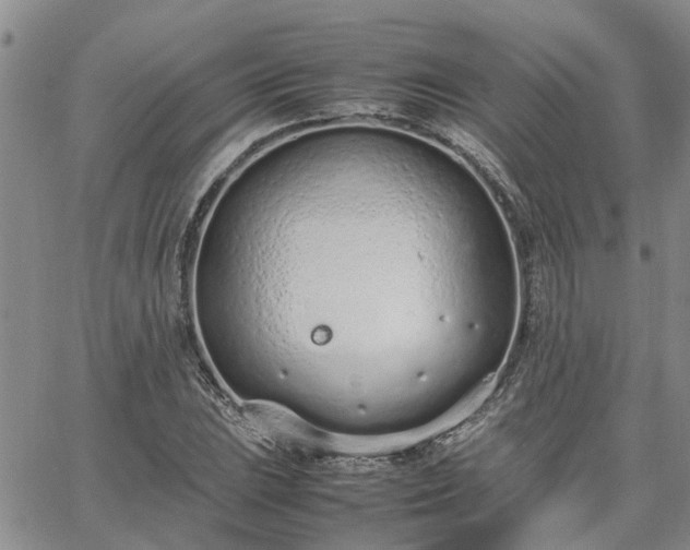 X0000064731023200602171636