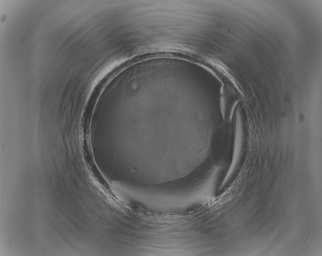 X0000064731024200602171636