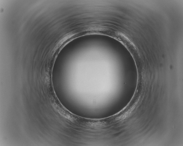 X0000064731025200602171636