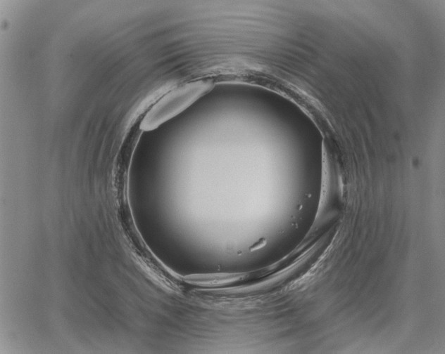 X0000064731026200602171636