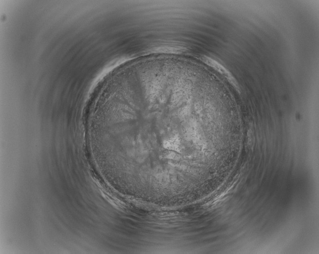 X0000064731027200602171636