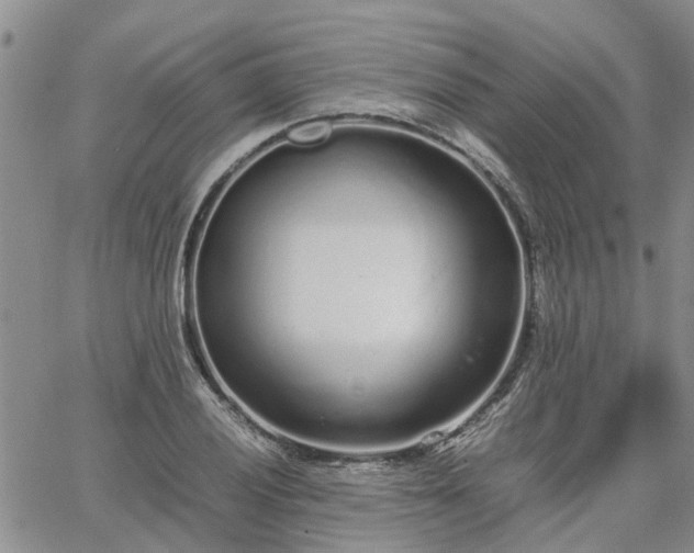 X0000064731028200602171636