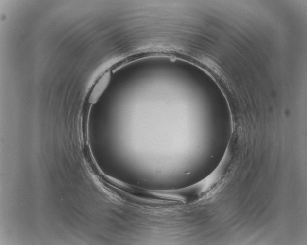 X0000064731030200602171636