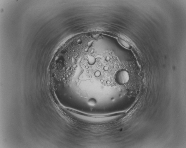 X0000064731031200602171636