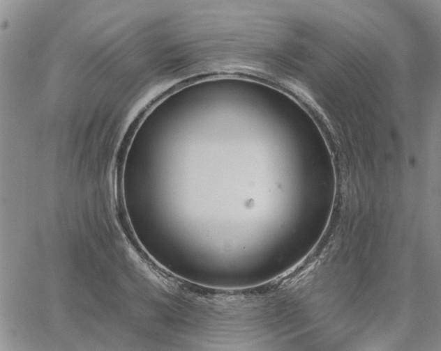 X0000064731032200602171636