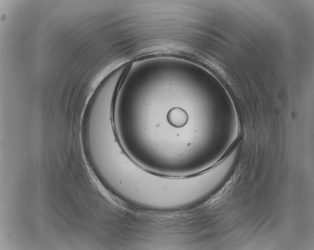 X0000064731034200602171636