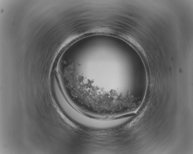 X0000064731037200602171636