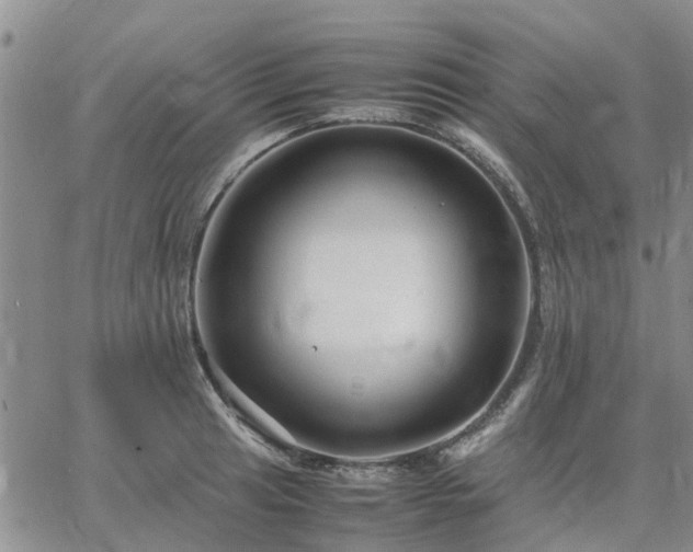 X0000064731041200602171636