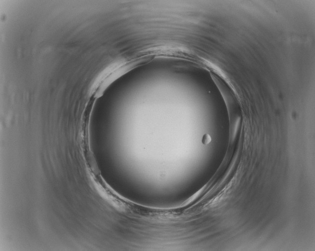 X0000064731042200602171636