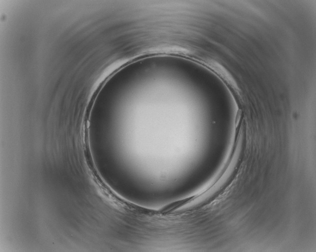 X0000064731044200602171636