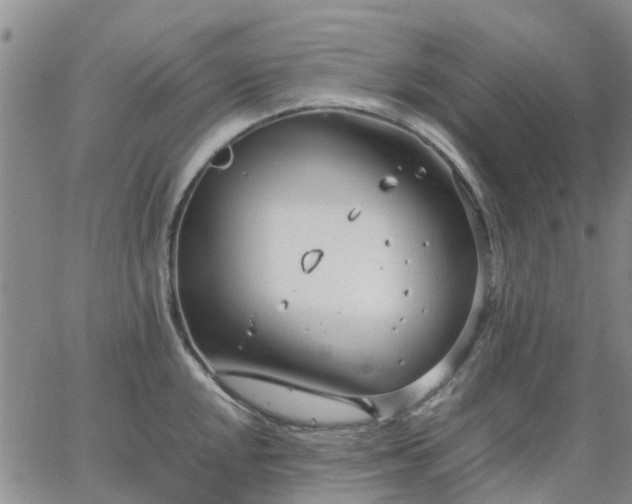 X0000064731048200602171637