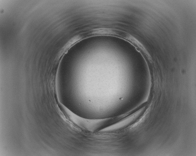 X0000064731049200602171637