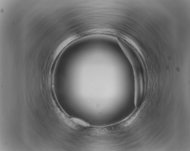 X0000064731050200602171637