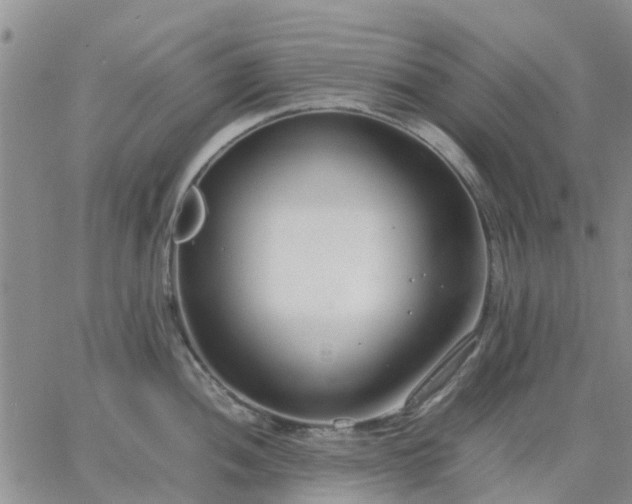 X0000064731052200602171637