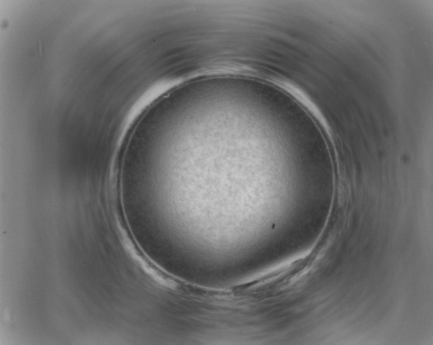 X0000064731053200602171637