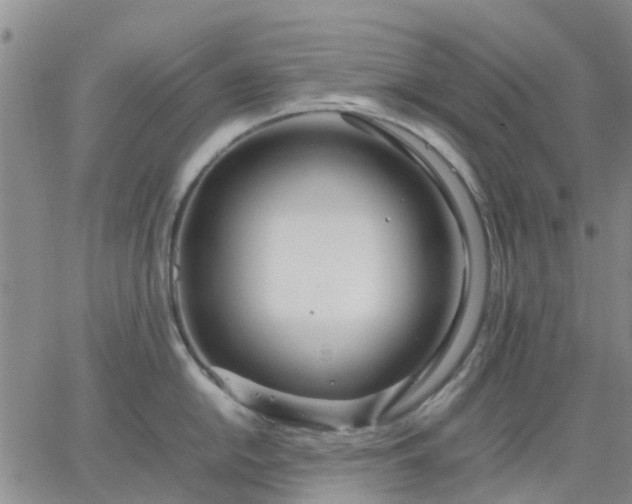 X0000064731054200602171637