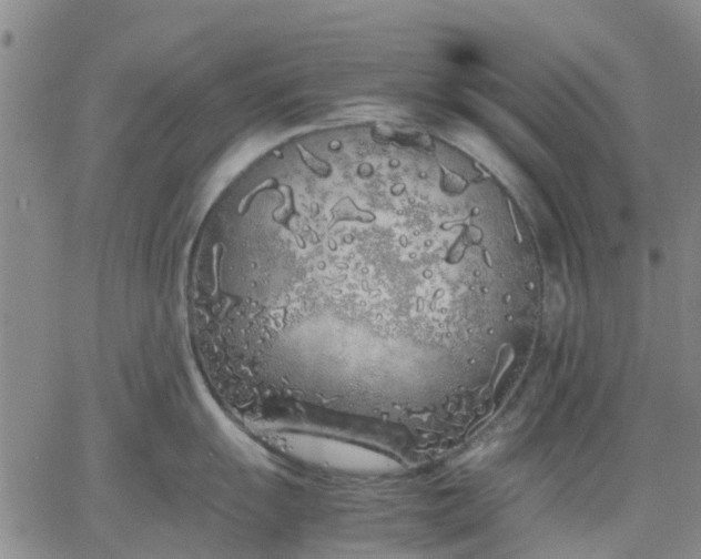 X0000064731055200602171637