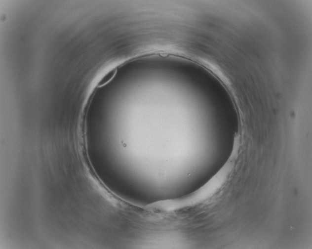 X0000064731056200602171637