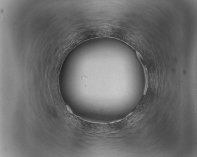 X0000064731057200602171636