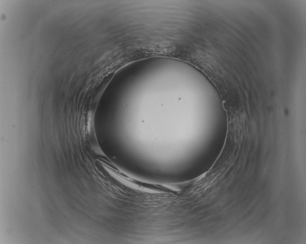 X0000064731058200602171636