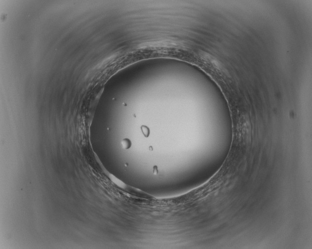 X0000064731062200602171636