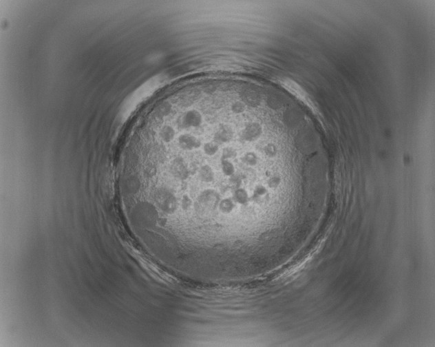 X0000064731067200602171636