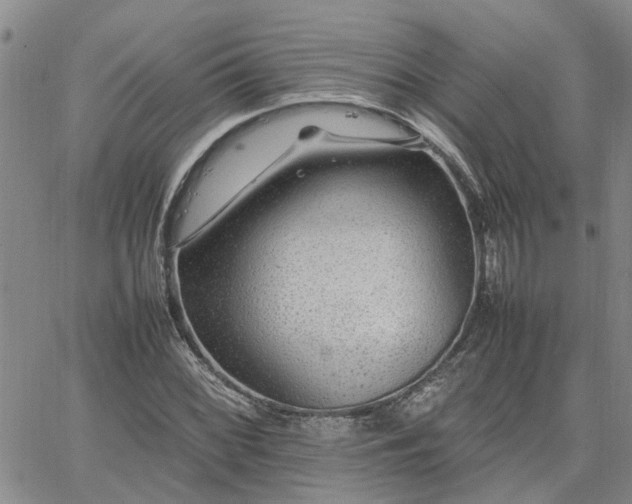 X0000064731068200602171636