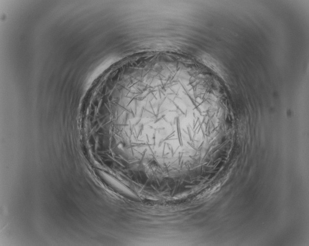 X0000064731071200602171636