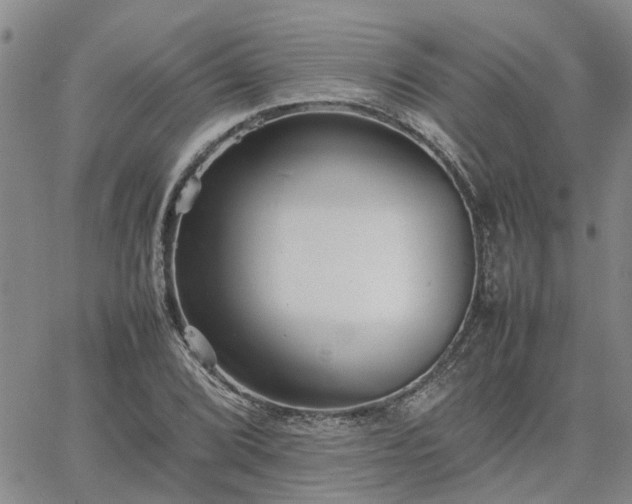 X0000064731072200602171636