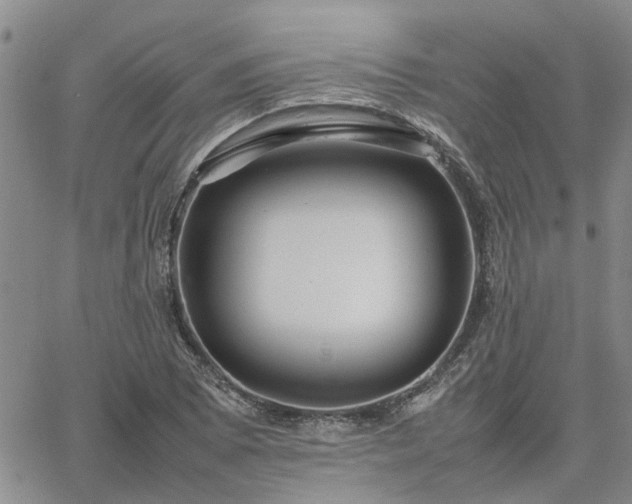 X0000064731073200602171636