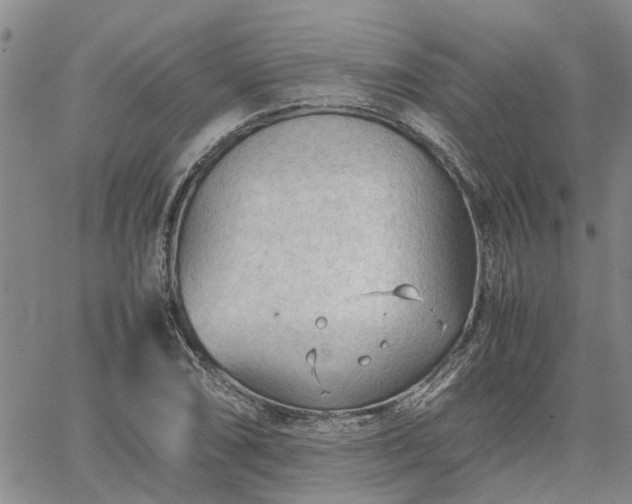 X0000064731074200602171636