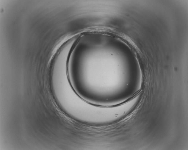 X0000064731075200602171636