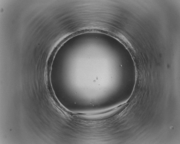 X0000064731076200602171636