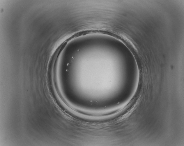 X0000064731077200602171636