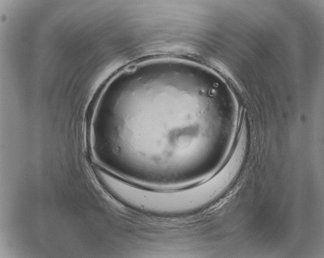 X0000064731079200602171635