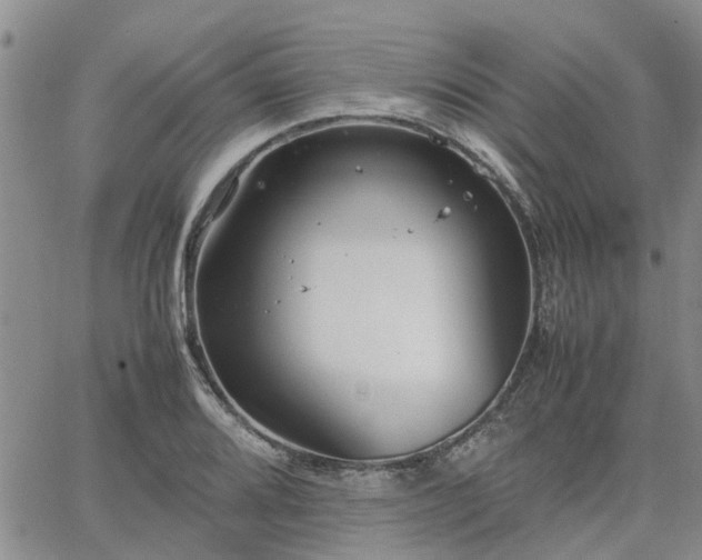 X0000064731080200602171635