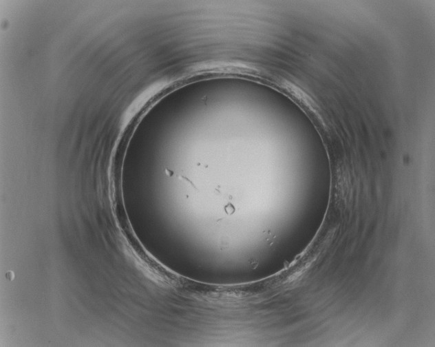 X0000064731082200602171635