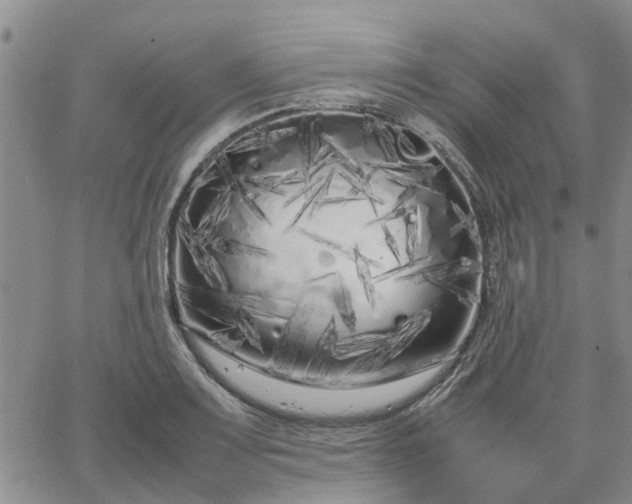 X0000064731083200602171635