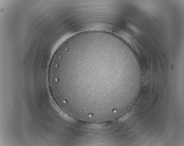 X0000064731086200602171635