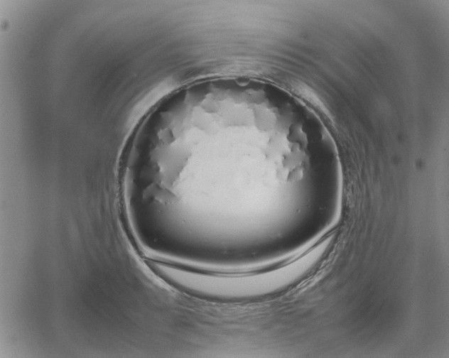 X0000064731087200602171635