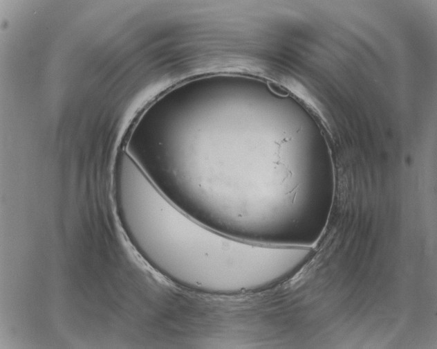 X0000064731088200602171635