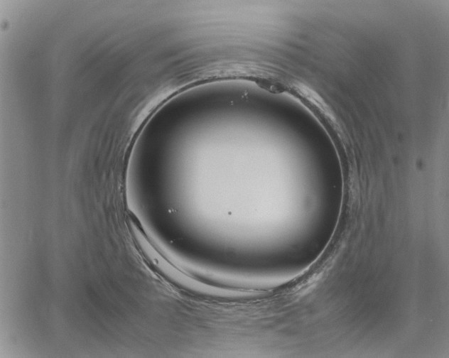 X0000064731089200602171635