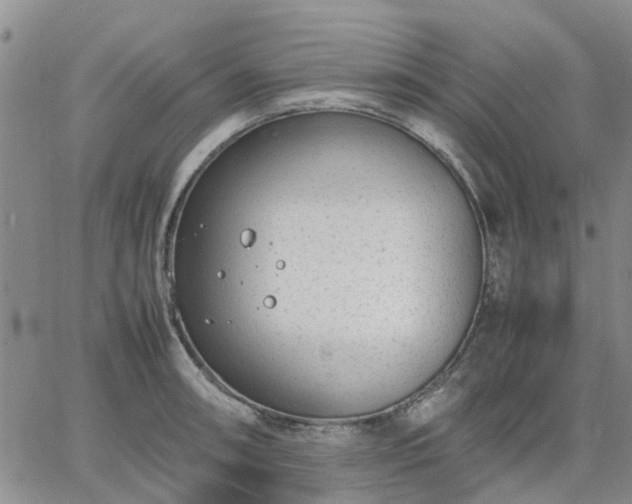 X0000064731090200602171635