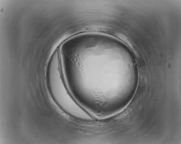 X0000064731091200602171635