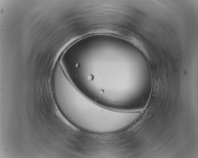 X0000064731092200602171635