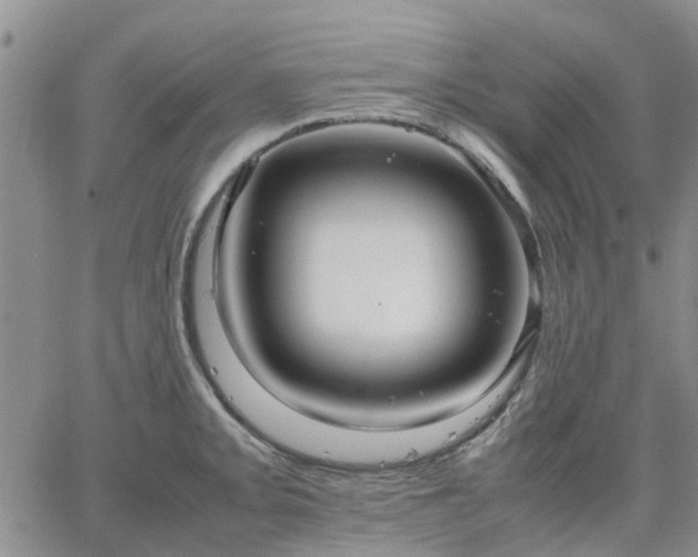 X0000064731093200602171635