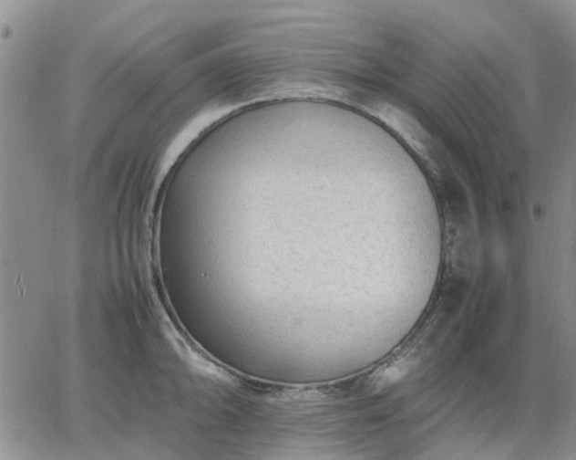 X0000064731094200602171635