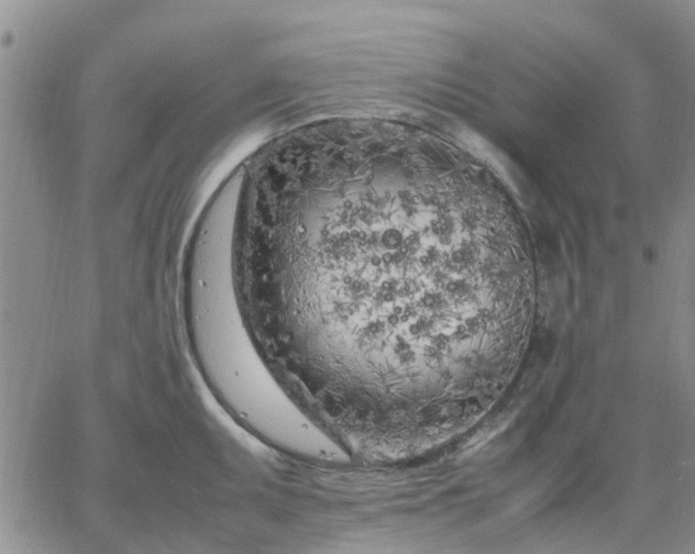 X0000064731095200602171635