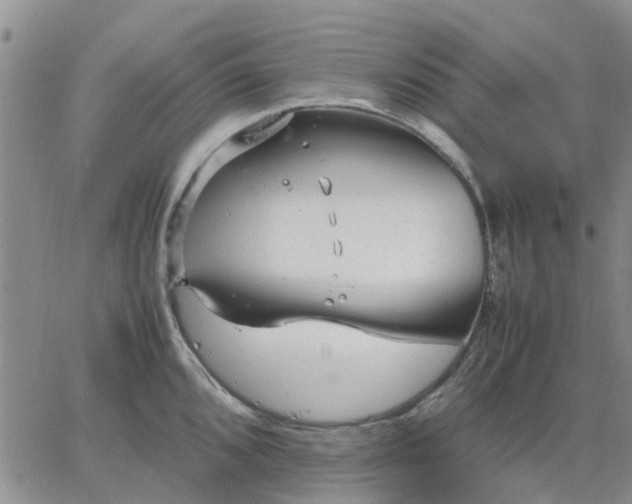 X0000064731096200602171635